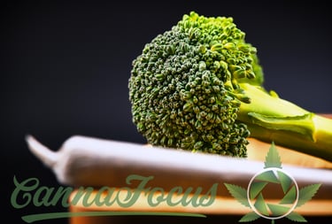 Dieses Motiv ist ein meisterhaftes Spiel mit visuellen Metaphern und gesellschaftlichem Kontext.