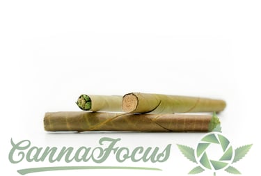 Diese Aufnahme setzt hochwertig verarbeitete Blunts durch ein minimalistisches High-Key-Setup perfek