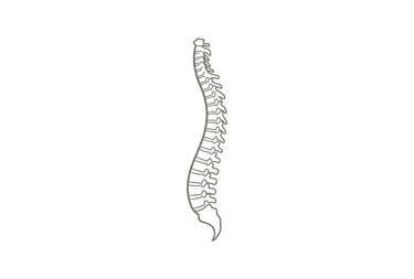 Anatomical illustration of a human spine representing postural health and alignment.