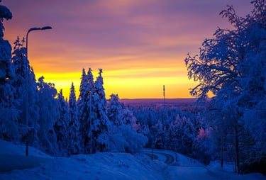 snow land