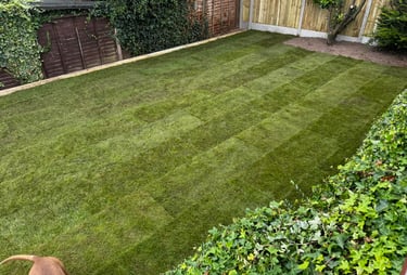freshly layed lawn at home in malvern