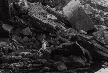a person standing on a rocky cliff face in Portovenere