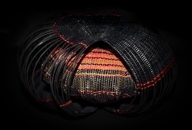 Flight Behavior, 2023, cane, reed, waxes linen