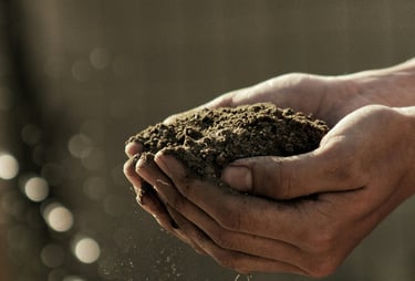Soil in a person's hands