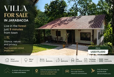 Investment villa for sale in Jarabacoa Dominican Republic. Fully furnished mountain villa
