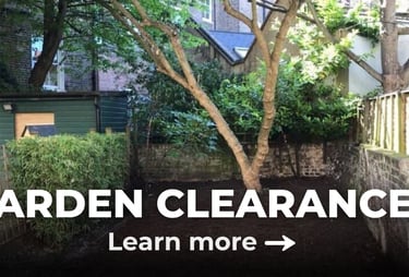 after picture of a garden clearance