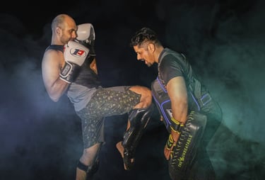 MMA Mixed Martial Arts India Mumbai Kickboxing Muay Thai Classes