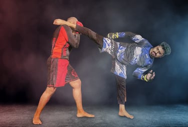 MMA Mixed Martial Arts India Mumbai