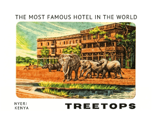 a group of elephants walking through a hotel