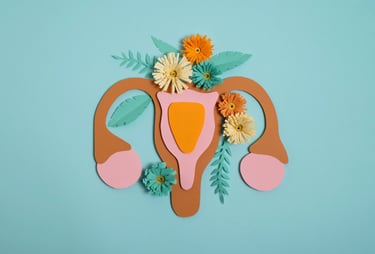 Sistema reproductivo femenino, útero