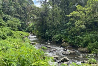 Hulu Sungai Ayung, Desa Belok/Sidan