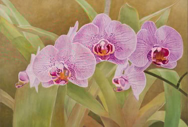 Phal Fiesta