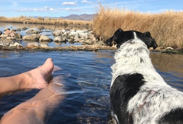 Gigi at Eaglevill Hot Springs