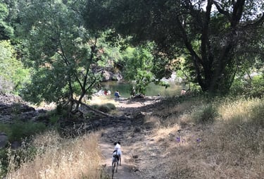 Upper Bidwell Park Trail is Dog Friendly