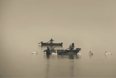 abogados expertos en Consultoría Legislativa