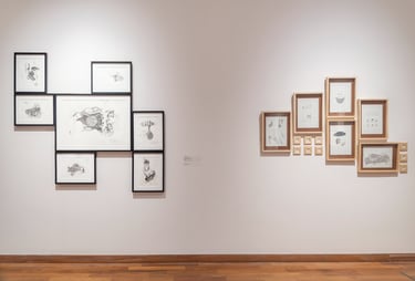 Políptico de dibujos en grafito exhibida en la sala del SNAV 2022