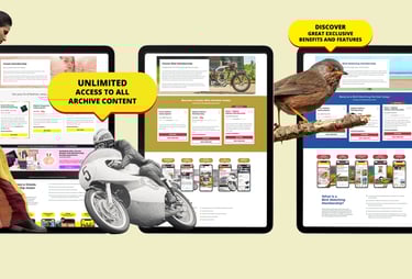 Membership Pages created by Michael Brasuela who is a Graphic & Web Designer | MVB CREATIVE