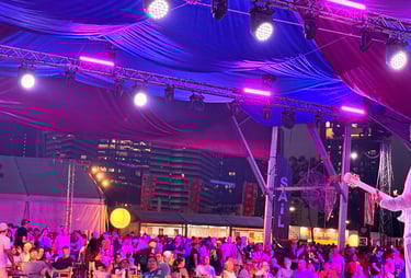 Image of live music audience as viewed from the left rear of the stage.