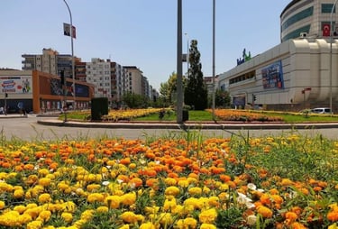 Ailece gezilecek keyifli rotalar