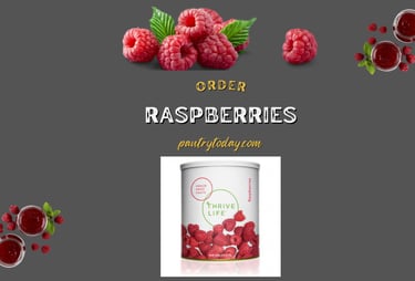 Fresh raspberries arranged with the text "raspberry" prominently featured thrive life freeze dried.