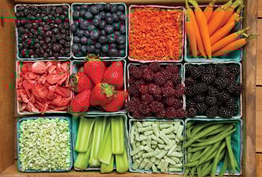 fresh fruits and vegetables next to the freeze dried version