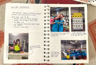 Mi trabajo en una empaquetadora de espárragos