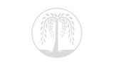 Willow Tree Tales logo imprint