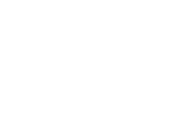 The Local Carpet Cleaner website logo