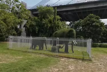 Elephant, Prinsep Ghat, Kolkata