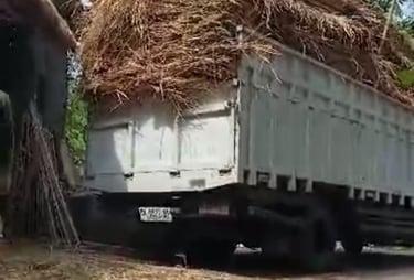 a truck with a large pile of hay on it