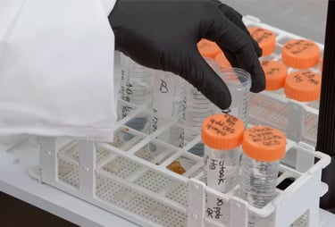 Custom Gummy Formulation