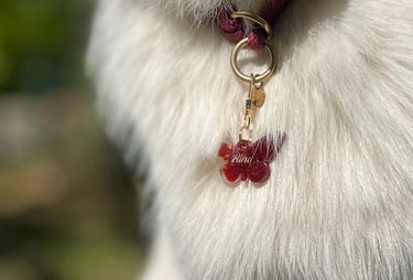 médaille chien taille pour border collie, berger australien...
