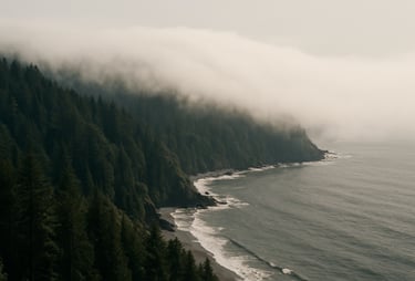 A stunning wide landscape shot of a coastal fog rolling into a North American / International forest, high-end cinematic 35mm photography, deep blacks and soft white light.