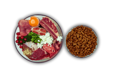 Natural food for dogs and kibble on the right.