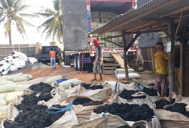 The process of loading dried gracilaria seaweed into containers for delivery to export buyers.