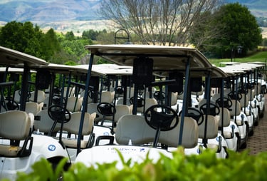 golf carts for sale in sa