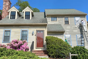 EXTERIOR PAINTING BEST QUALITY PAINTING