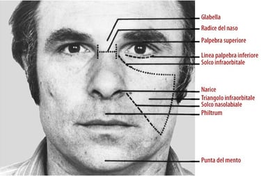 come capire se qualcuno mente