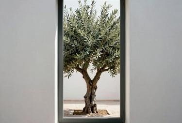 A tall, narrow window showing a view of a minimalist courtyard with a single olive tree. Clean architectural composition.