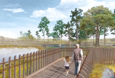 A rendering of wooden boardwalk over a bog