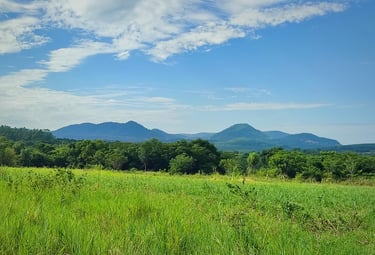 12,3 Hektar Grundstück zum Kauf in Paraguay