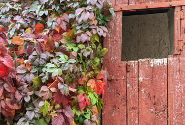 Une porte rouge et une feuillage coloré