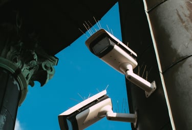 Servicio de Seguridad Electrónica