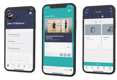 Exercise video demonstrations for an online fitness program