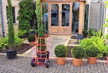 Trees and shrubs being delivered
