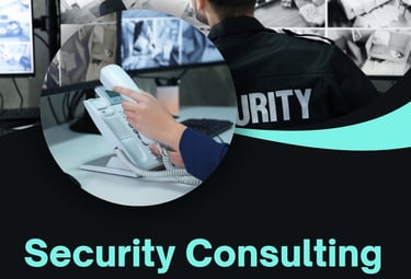 Security Consulting by vSecure Solutions LLC