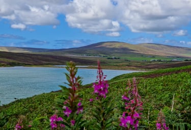 Waulkmill Bay