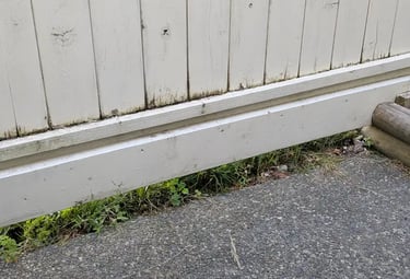 Old fence needing cleaning and repainting