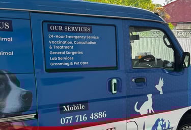 Pet Pulse Animal Hospital emergency pick-up and home visit vehicle in Battaramulla, Sri Lanka