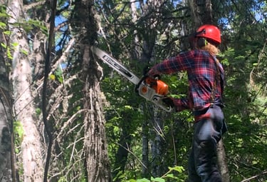 Revelstoke Brush Clearing Services